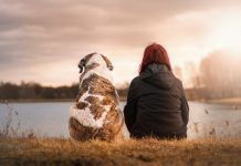 DOGS – THE SUPREME SOURCE OF LOVE Dog