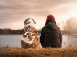 DOGS – THE SUPREME SOURCE OF LOVE Dog
