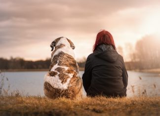 DOGS – THE SUPREME SOURCE OF LOVE Dog
