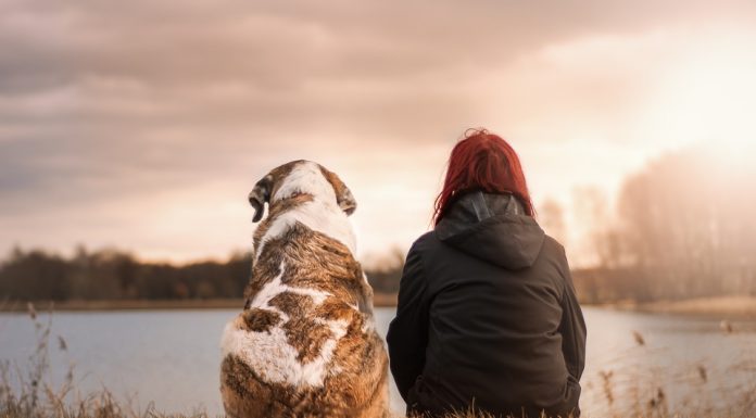 DOGS – THE SUPREME SOURCE OF LOVE Dog