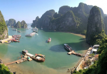 Wanderlust Tickling : Ha Long Bay Ha long bay