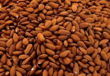 ALMONDS – FOR NOW AND EVERYDAY Almond