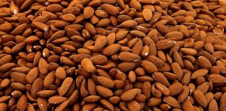 ALMONDS – FOR NOW AND EVERYDAY Almond