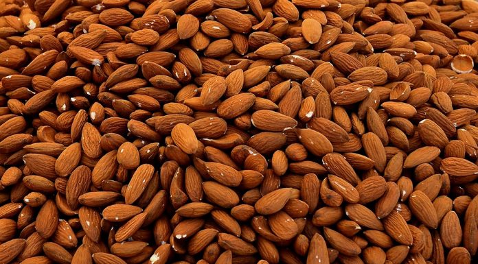 ALMONDS – FOR NOW AND EVERYDAY Almond