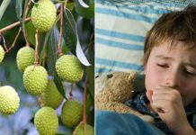 CHAMKI FEVER Chamki Fever