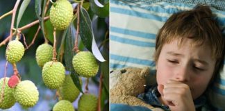 CHAMKI FEVER Chamki Fever