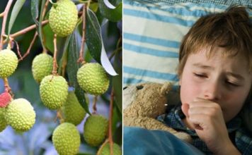 CHAMKI FEVER Chamki Fever