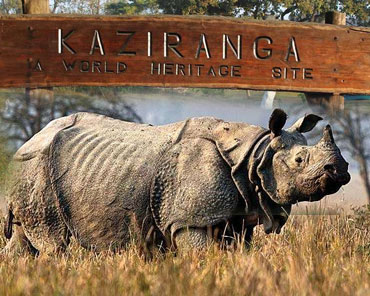 Kaziranga