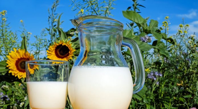 7 HEALTH BENEFITS OF MILK Milk