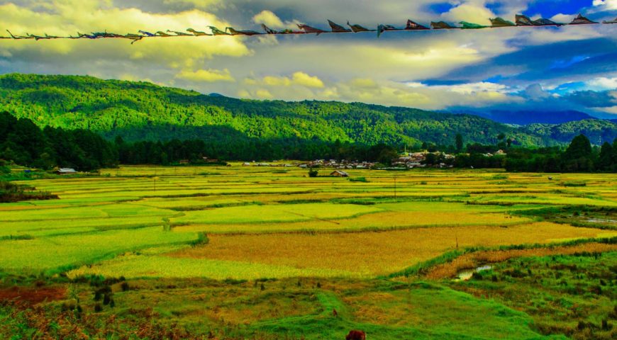 ziro arunchal pradesh