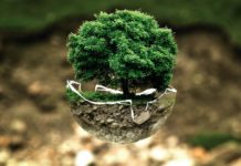 Five cities that are showing the world innovative ways to go green. innovative ways to go green.