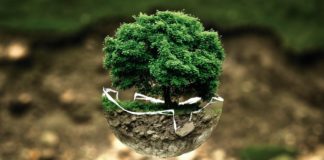 Five cities that are showing the world innovative ways to go green. innovative ways to go green.