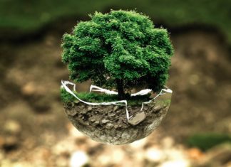 Five cities that are showing the world innovative ways to go green. innovative ways to go green.