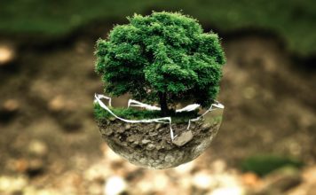 Five cities that are showing the world innovative ways to go green. innovative ways to go green.