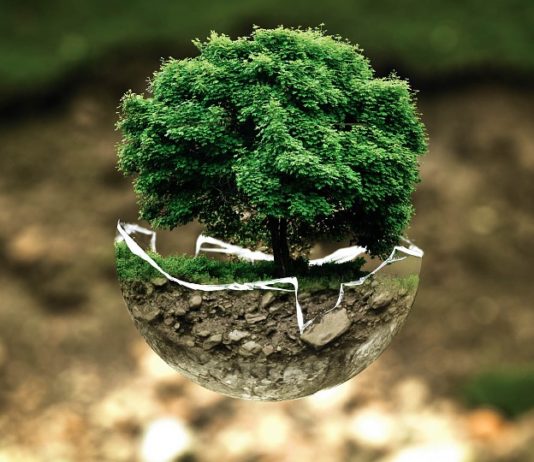 Five cities that are showing the world innovative ways to go green. innovative ways to go green.