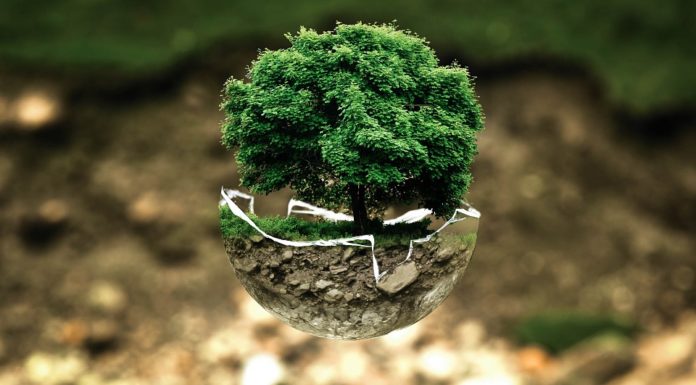 Five cities that are showing the world innovative ways to go green. innovative ways to go green.