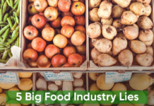 Biggest Lies the Food Industry Tells Consumers junk food