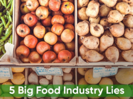 Biggest Lies the Food Industry Tells Consumers junk food
