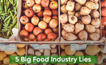 Biggest Lies the Food Industry Tells Consumers junk food