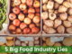 Biggest Lies the Food Industry Tells Consumers junk food