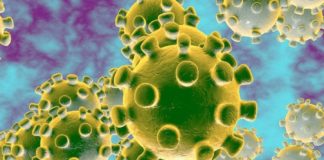 The Coronavirus’ Impact On The Lunar New Year coronavirus image