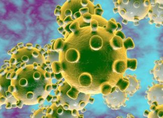 The Coronavirus’ Impact On The Lunar New Year coronavirus image